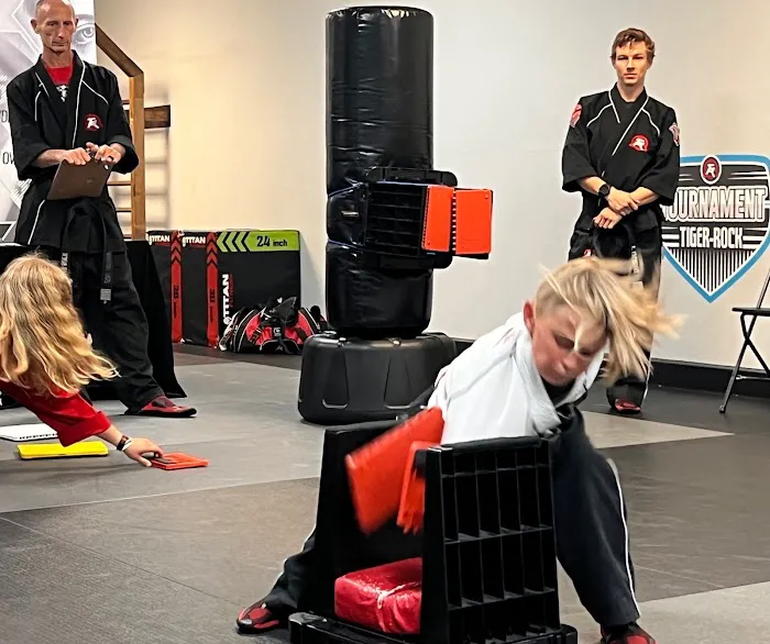 Tiger-Rock Martial Arts Picture 9