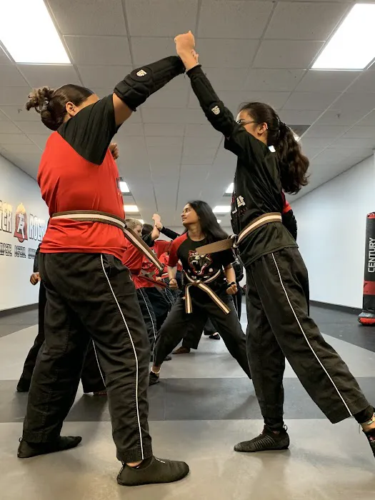 Tiger-Rock Martial Arts Picture 8