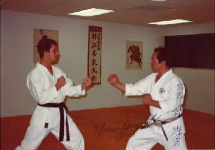 Minami Dojo, Inc. Picture 4