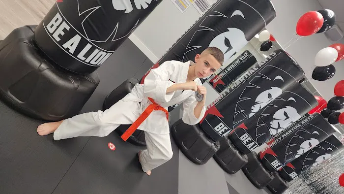 Integrity Martial Arts: Golden Gate Picture 9