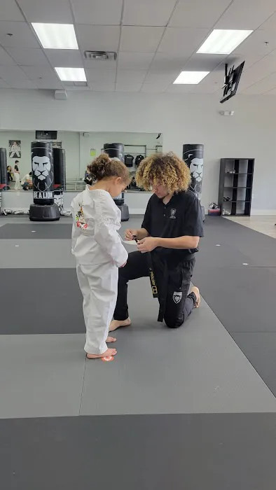 Integrity Martial Arts: Golden Gate Picture 4