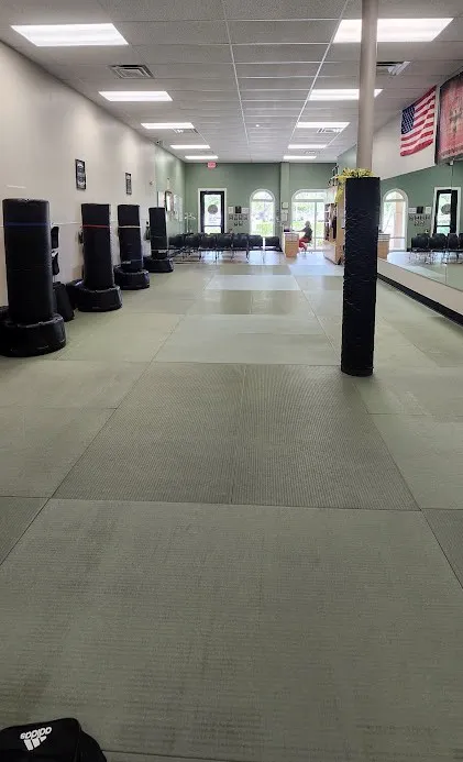 Fighting Phoenix Martial Arts Academy Picture 1