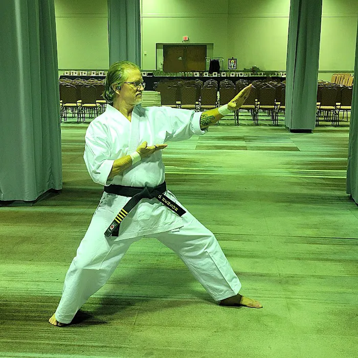 Fighting Phoenix Martial Arts Academy Picture 9