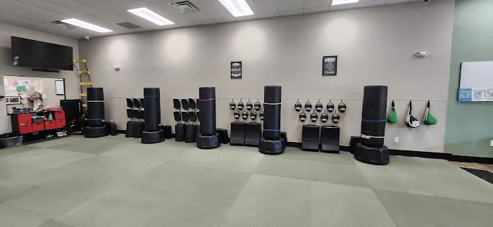 Fighting Phoenix Martial Arts Academy Picture 3