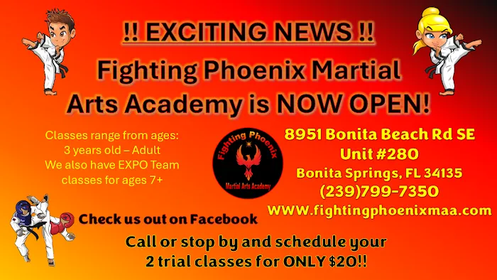 Fighting Phoenix Martial Arts Academy Picture 8