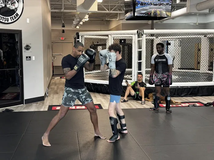 The Grounds MMA Academy Picture 3