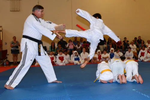 State of the Art Tae Kwon Do Picture 1