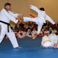 State of the Art Tae Kwon Do ico
