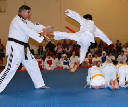 State of the Art Tae Kwon Do