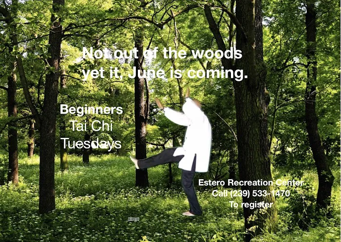 Estero Tai Chi Picture 7