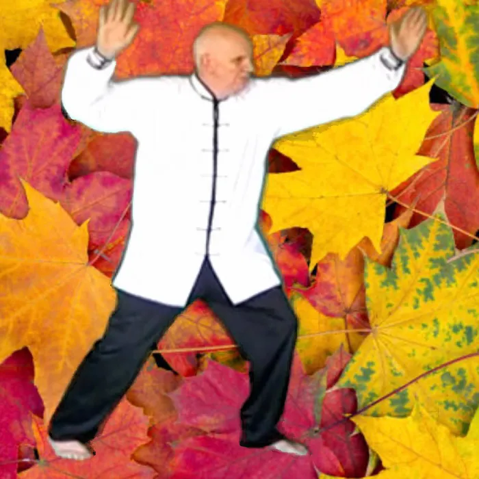 Estero Tai Chi Picture 9