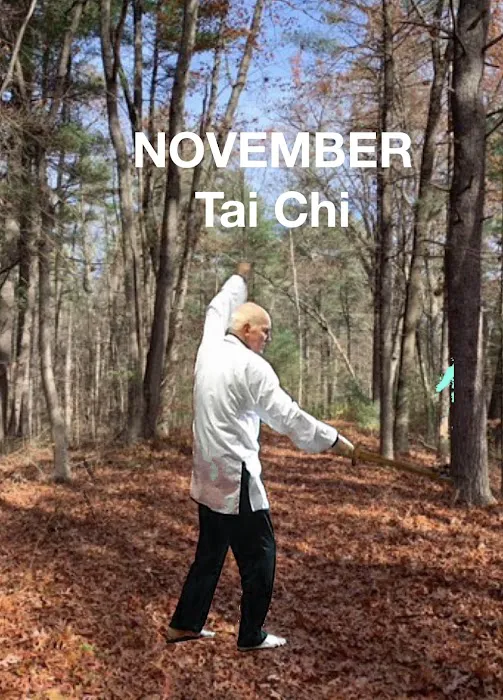 Estero Tai Chi Picture 4