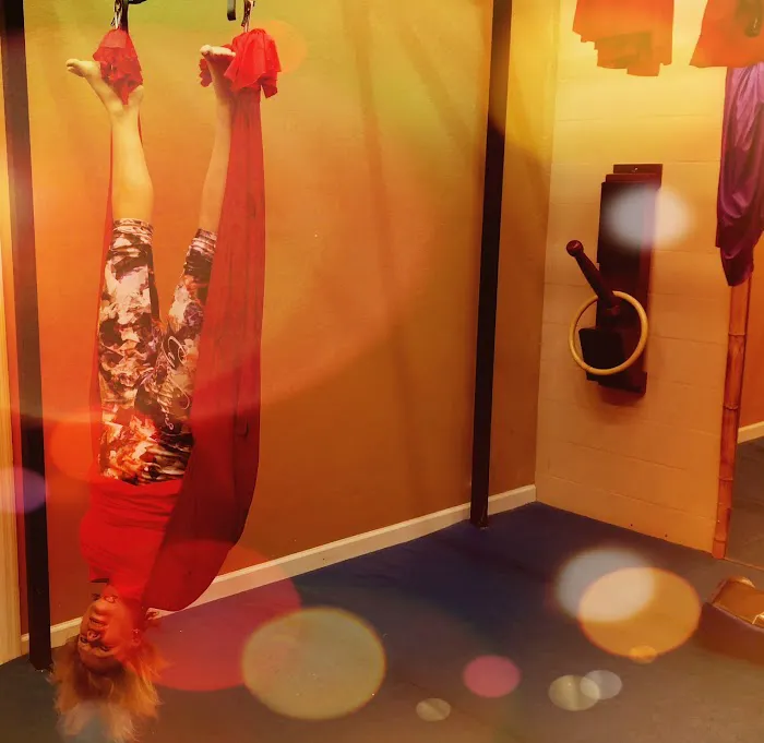 David Gallaher's Gung Fu Institute Picture 4