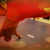 David Gallaher's Gung Fu Institute ico