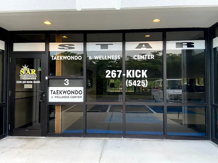 Star Taekwondo & Wellness Center, Inc. Picture 10
