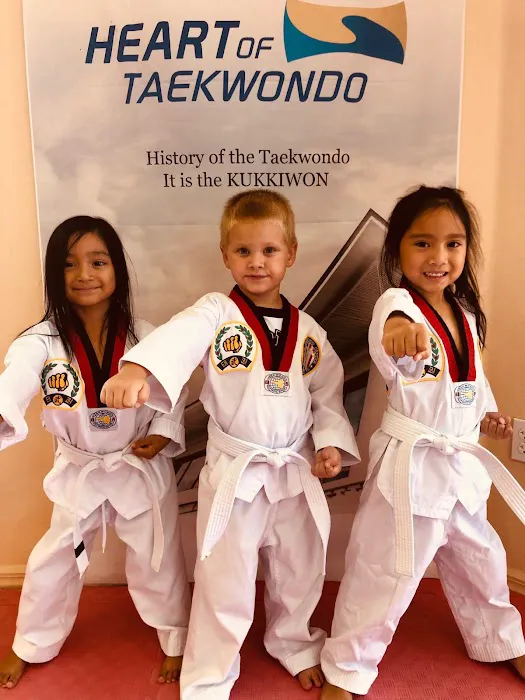 USA Taekwondo Center Picture 5