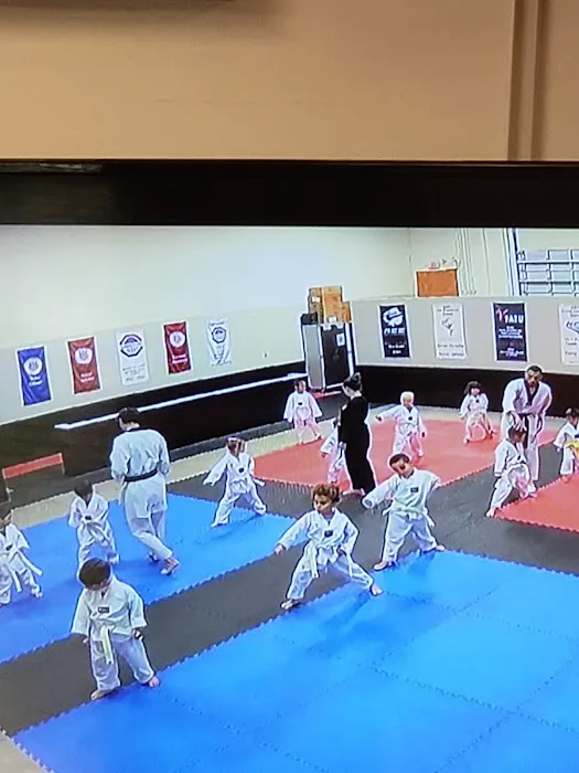 World Championship Taekwondo Picture 2