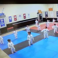 World Championship Taekwondo ico