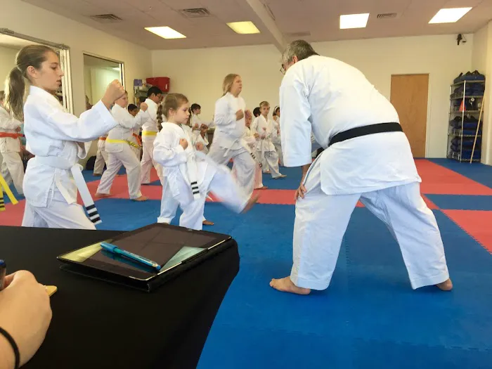 American Sports Karate Picture 4