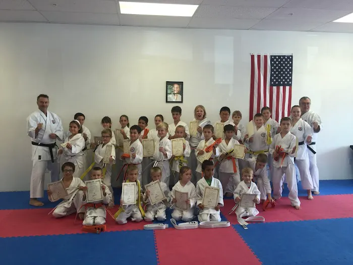 American Sports Karate Picture 3