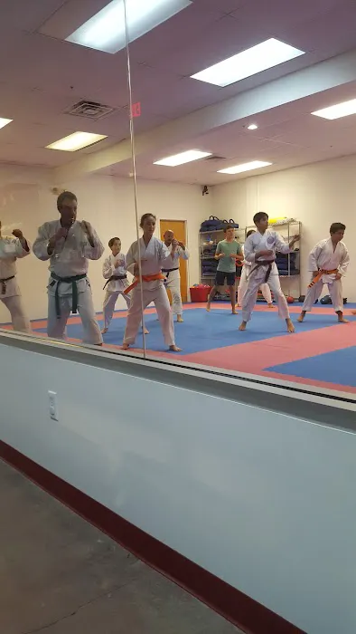 American Sports Karate Picture 1