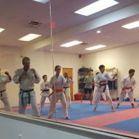 American Sports Karate ico