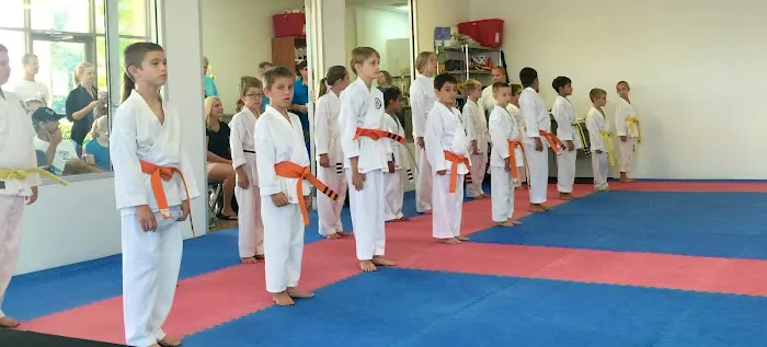 American Sports Karate Picture 10