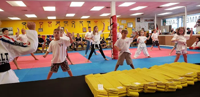Black Belt Taekwondo Picture 2