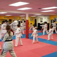 Black Belt Taekwondo ico