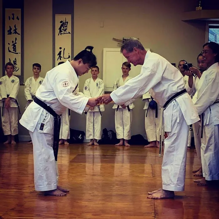 Kobayashi Dojo Inc Picture 2