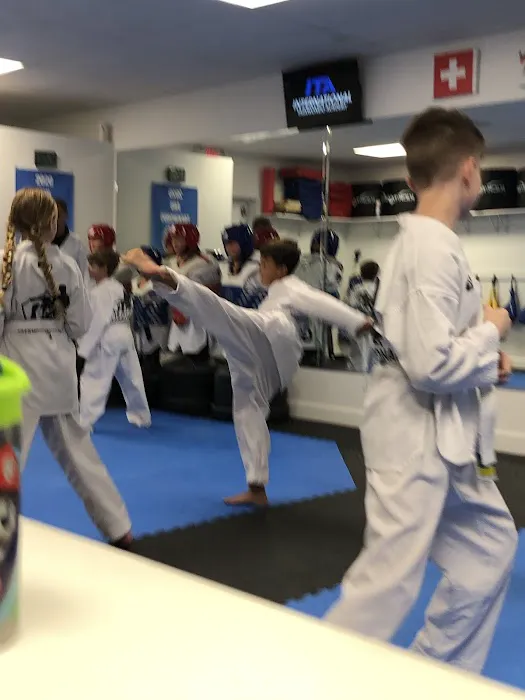 International Taekwondo Academy Picture 6