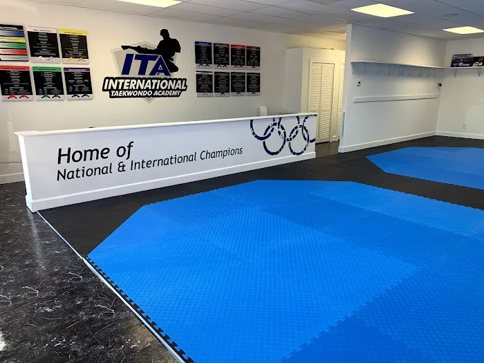 International Taekwondo Academy Picture 7