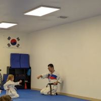 SOFT & STRONG TAEKWONDO ico