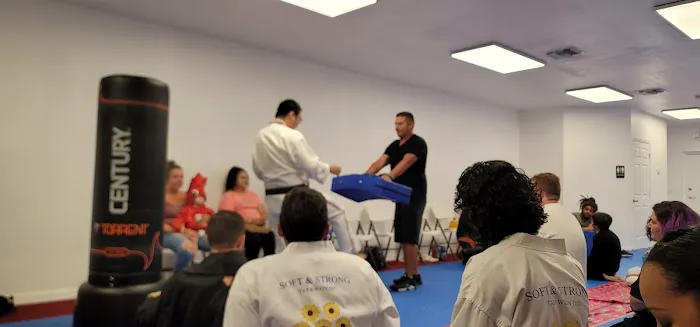 SOFT & STRONG TAEKWONDO Picture 6