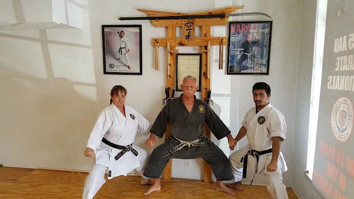 Fort Myers Karate Picture 3