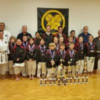 Fort Myers Karate ico