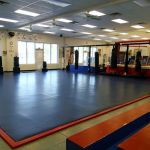 Martial Arts University
