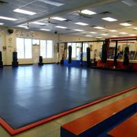 Martial Arts University ico