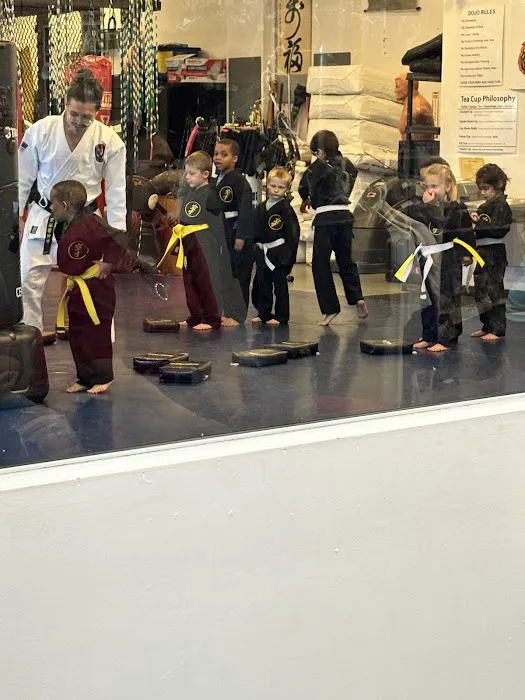 Martial Arts University Picture 9