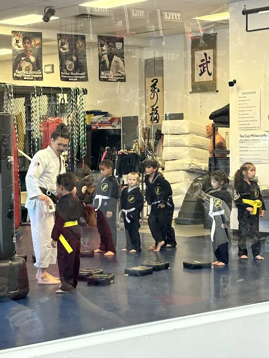 Martial Arts University Picture 7
