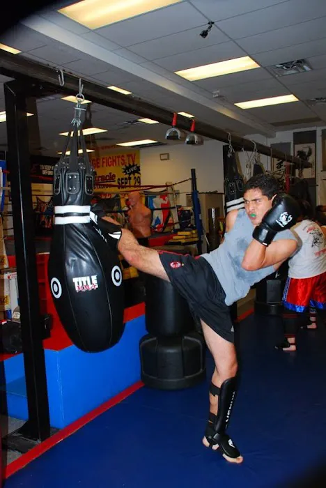 Martial Arts University Picture 2