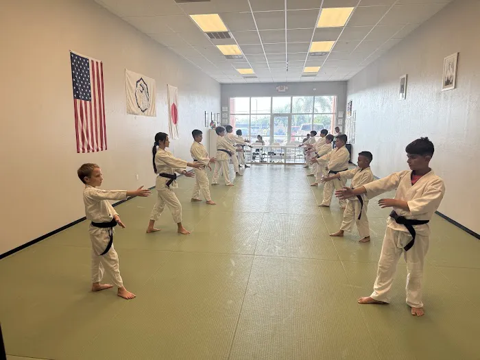 Cape Coral Aikido Picture 7