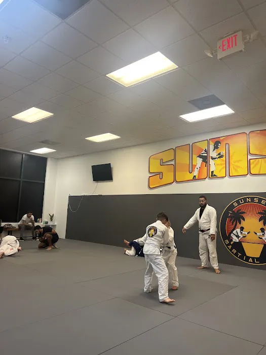 Sunset Martial Arts Picture 4