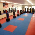 Apex Martial Arts Academy