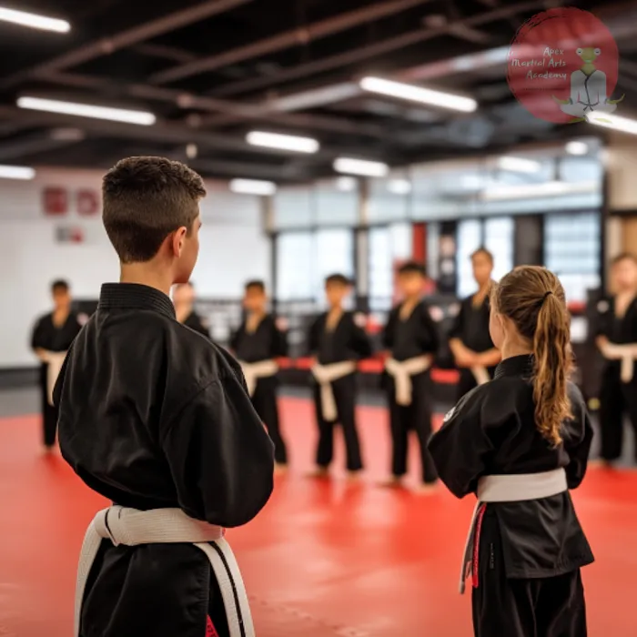 Apex Martial Arts Academy Picture 6