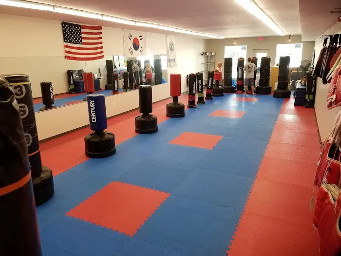 Apex Martial Arts Academy Picture 2