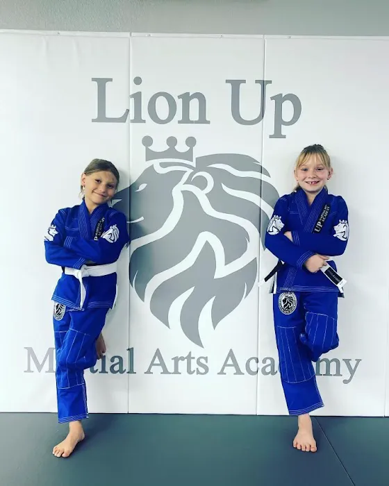 Lion Up Martial Arts Academy Picture 5