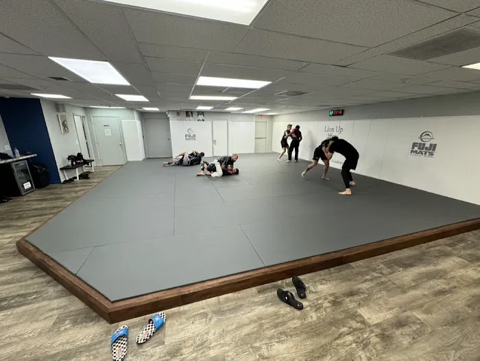 Lion Up Martial Arts Academy Picture 4