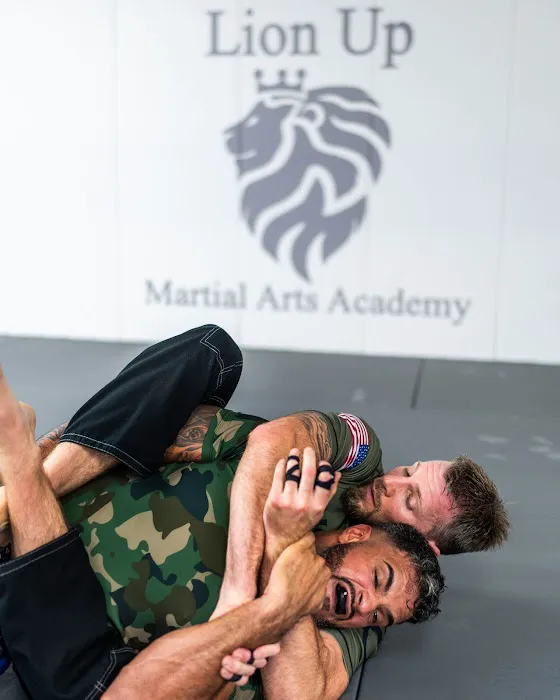Lion Up Martial Arts Academy Picture 3