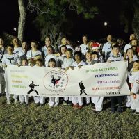 McMurray's Family Taekwondo ico